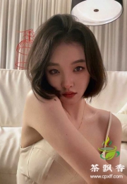 嘉禾小猫咪，听话服务型