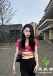 禅城新人圆圆换联系方式重新加