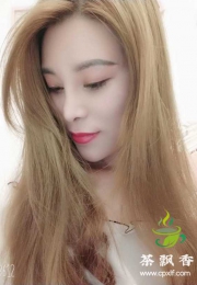 禅城区季华路-如意