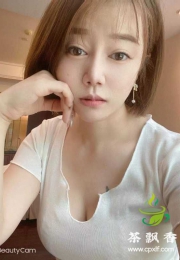 天河蛇纹小白狐（亮点无毛猫哦）